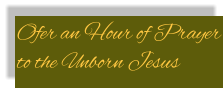 Ofer an Hour of Prayer to the Unborn Jesus