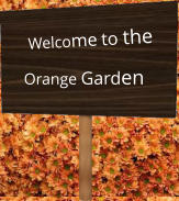 Welcome to the Orange Garden