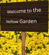 Welcome to the Yellow Garden