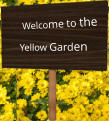 Welcome to the Yellow Garden