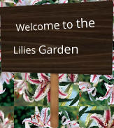 Welcome to the Lilies Garden