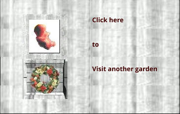 Click here  to  Visit another garden