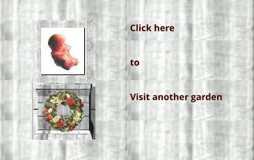 Click here  to  Visit another garden