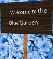 Welcome to the Blue Garden