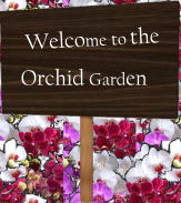 Welcome to the Orchid Garden