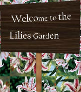 Welcome to the Lilies Garden