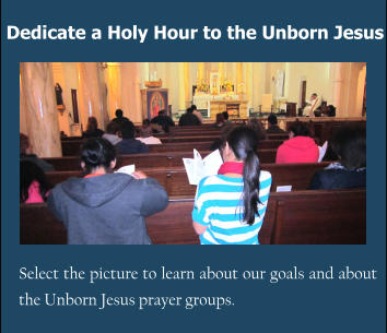 Dedicate a Holy Hour to the Unborn Jesus Select the picture to learn about our goals and about the Unborn Jesus prayer groups.