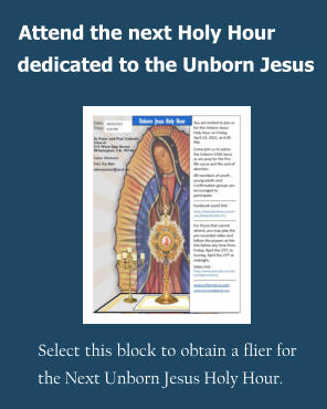 Attend the next Holy Hour  Select this block to obtain a flier for the Next Unborn Jesus Holy Hour. dedicated to the Unborn Jesus