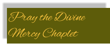 Pray the Divine Mercy Chaplet