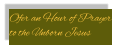 Ofer an Hour of Prayer to the Unborn Jesus